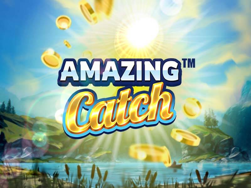 Amazing Catch - sbotop
