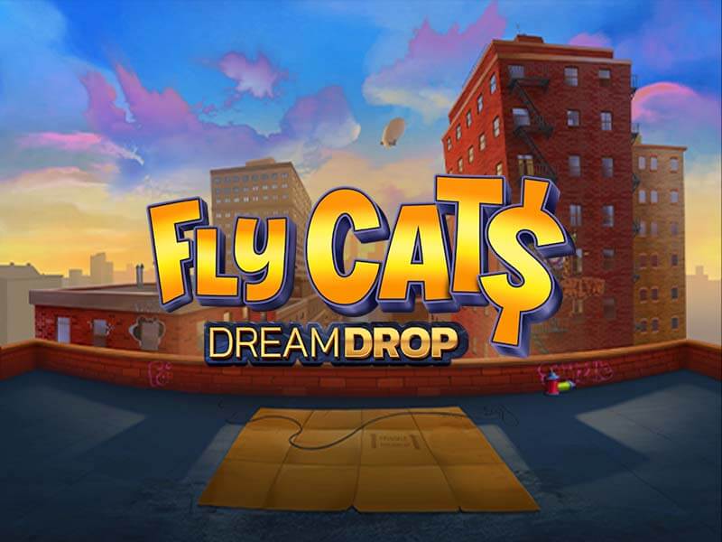 Fly Cats Dream Drop - sbotop
