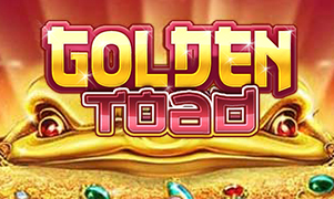 sbotop Golden Toad